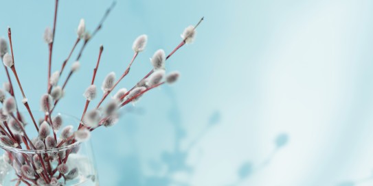 Praxisferien und Notdienste